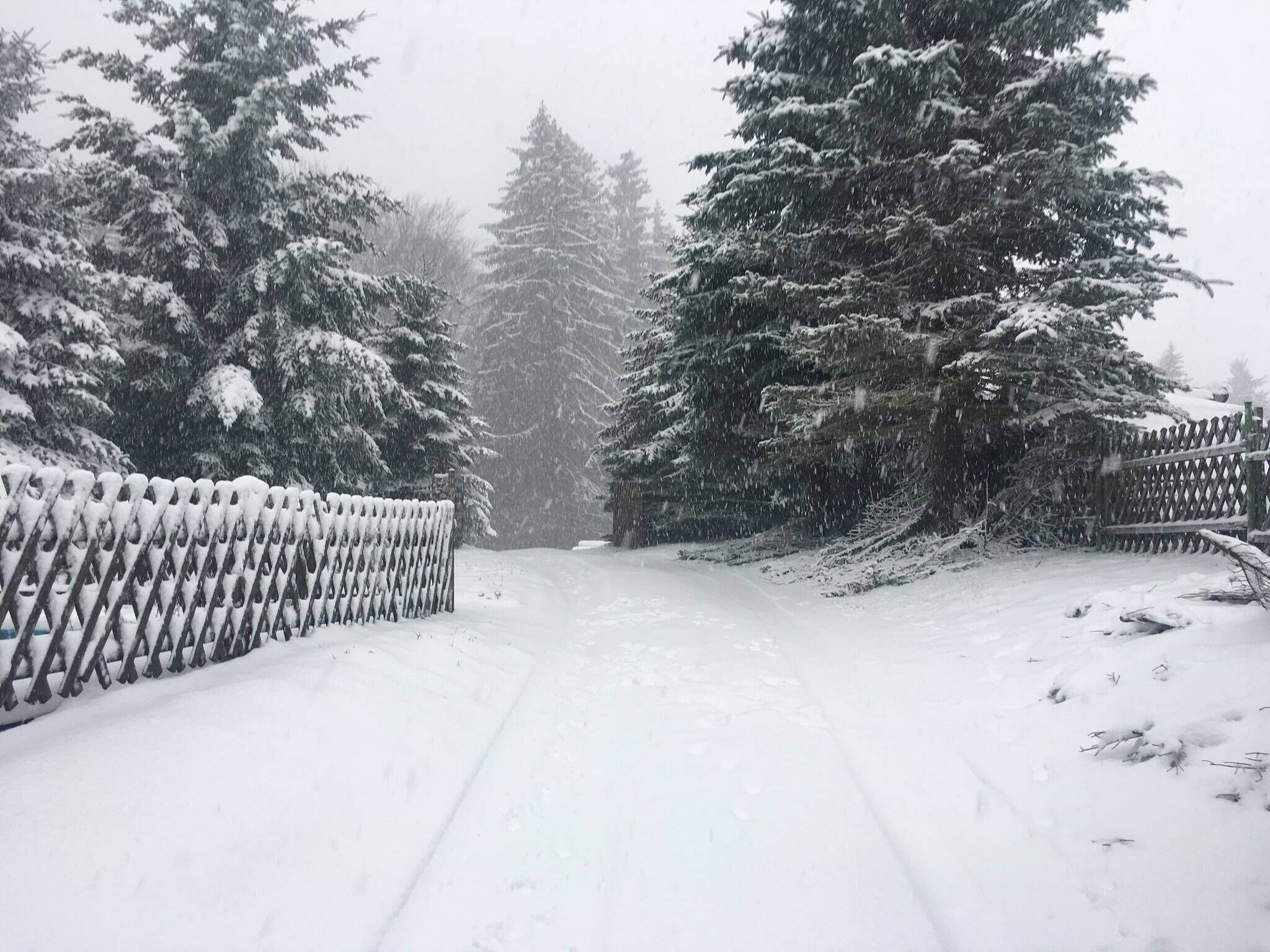 A snow-covered pathway flanked by snow-laden trees and a wooden fence.