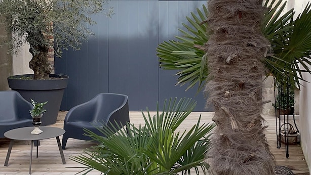 Un patio exterior moderno con terraza de madera, una palmera y un olivo en maceta.