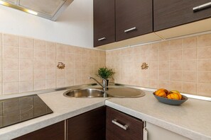 Fridge, stovetop, cookware/dishes/utensils