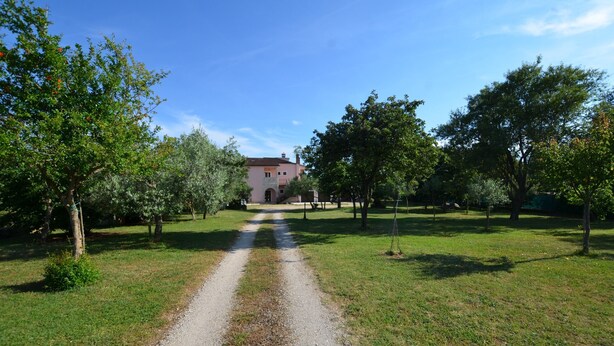 A gravel path leading to a building surrounded by trees. - Orbanic Valalta Apartment 2 (Rovinj)