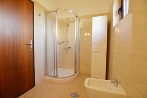 Shower, towels, toilet paper