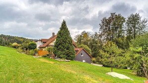 A house with a sloped roof, surrounded by a grassy area and trees.
