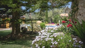 A garden with a tree, flowers, and a pool area in the background.