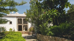 A white building with a stone wall and a garden path leading to the entrance.
