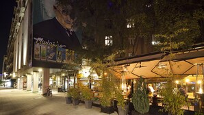 Zona de café al aire libre con mesas y sillas, rodeada de plantas en macetas.
