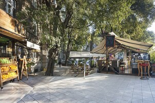 Un café al aire libre con mesa y sillas de madera, rodeado de árboles.