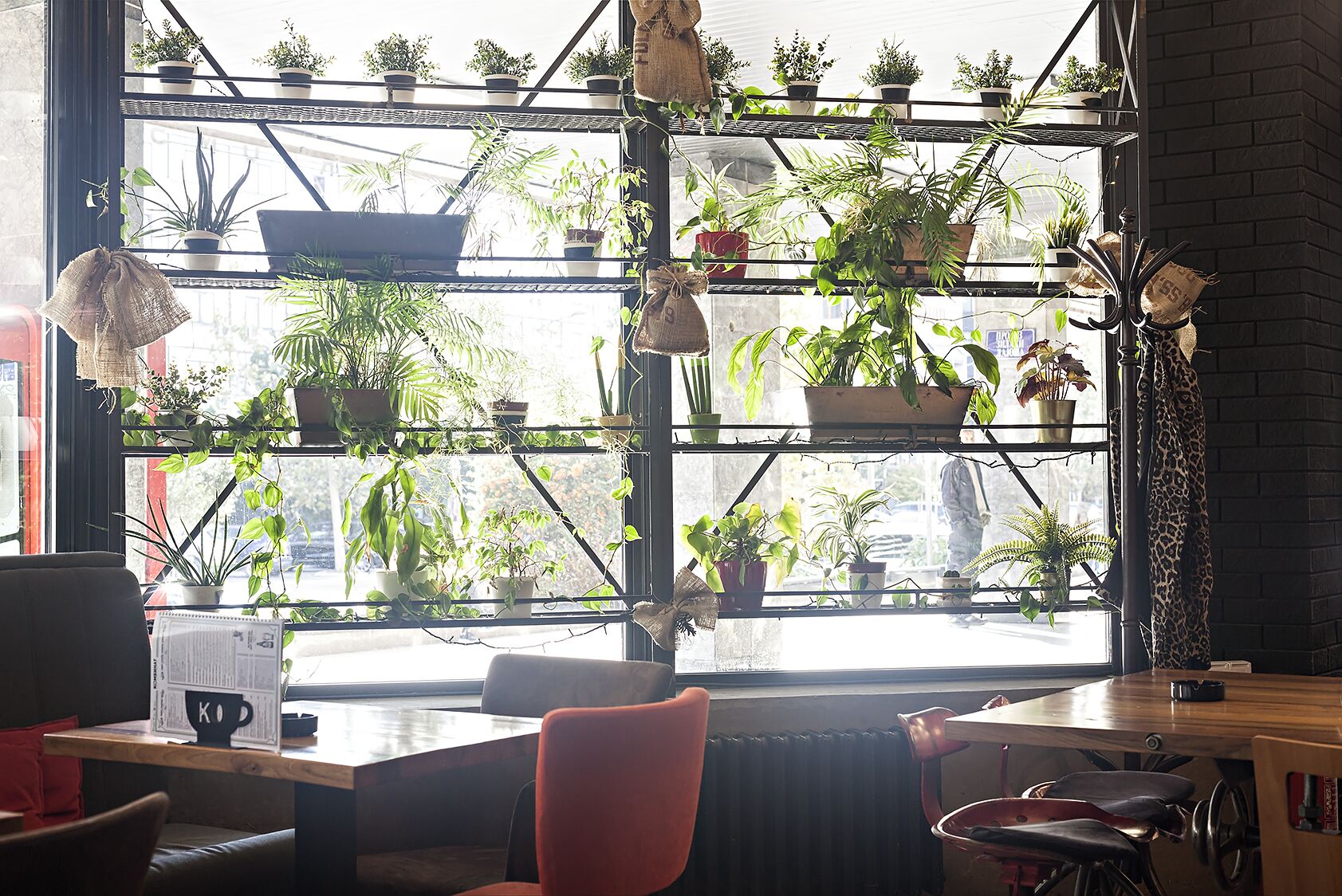 A room with a large window, shelves with potted plants, a wooden table, and a red chair.
