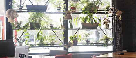 A room with a large window, shelves with potted plants, a wooden table, and a red chair.