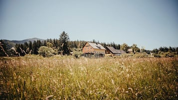 A rustic house with a sloped roof, surrounded by tall grass and trees.
