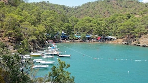 A coastal area with boats docked along the shore, surrounded by dense greenery and hills.