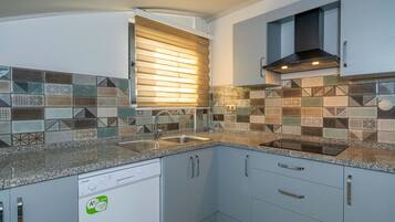 Family Penthouse, 2 Bedrooms | Private kitchen | Fridge, stovetop, dishwasher, cookware/dishes/utensils