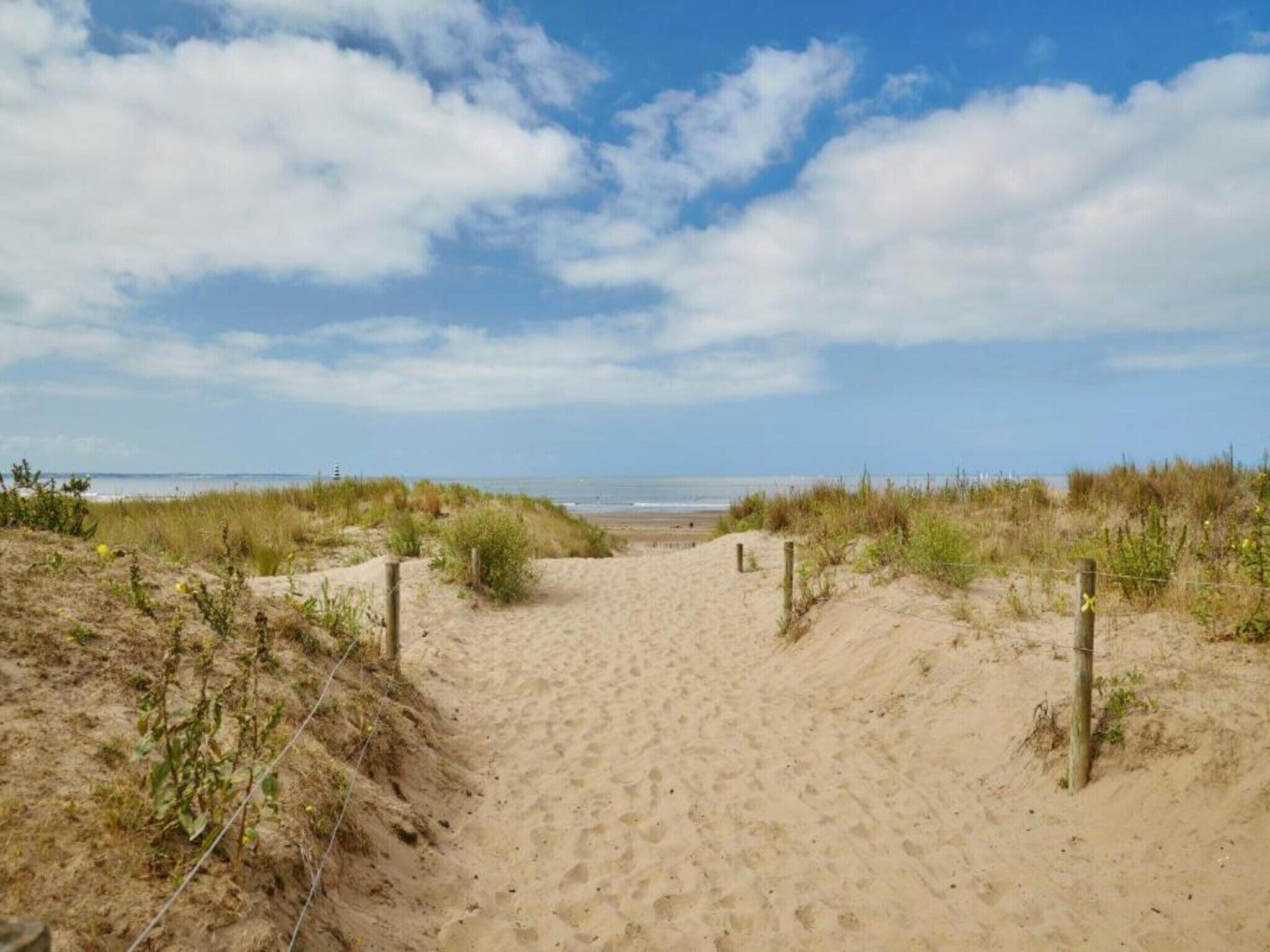 A sandy beach path leading to the sea with grassy dunes on either side.