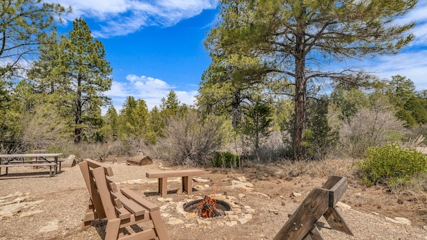 Un terrain de camping équipé d’un foyer, de tables de pique-nique et offrant une vue dégagée sur la forêt environnante.