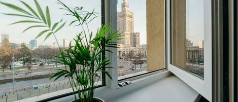 Ein Blumentopf auf einem Fensterbrett mit Blick auf eine Stadtansicht, darunter ein markantes Gebäude.