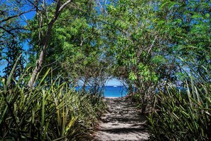 A pathway leading to a beach with dense foliage on either side.