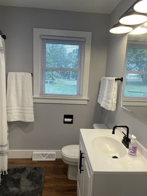 Combined shower/bathtub, hair dryer, towels, soap