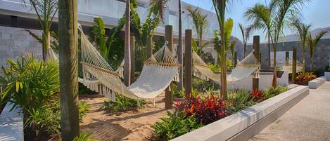 A garden area with hammocks, palm trees, and a paved walkway.
