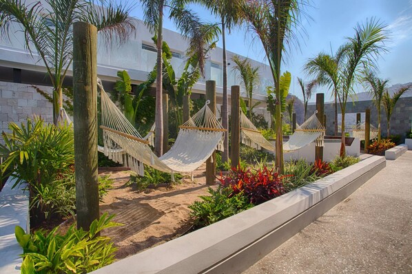 Un jardín con hamacas, palmeras y un camino pavimentado.