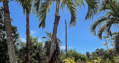 NEW*remodel/Tropical Yard/Heated Pool/Firepit/Game room!