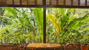 Une table en bois avec un banc, installée dans un jardin tropical, entourée de différentes plantes en pot et d’un mur de pierre.