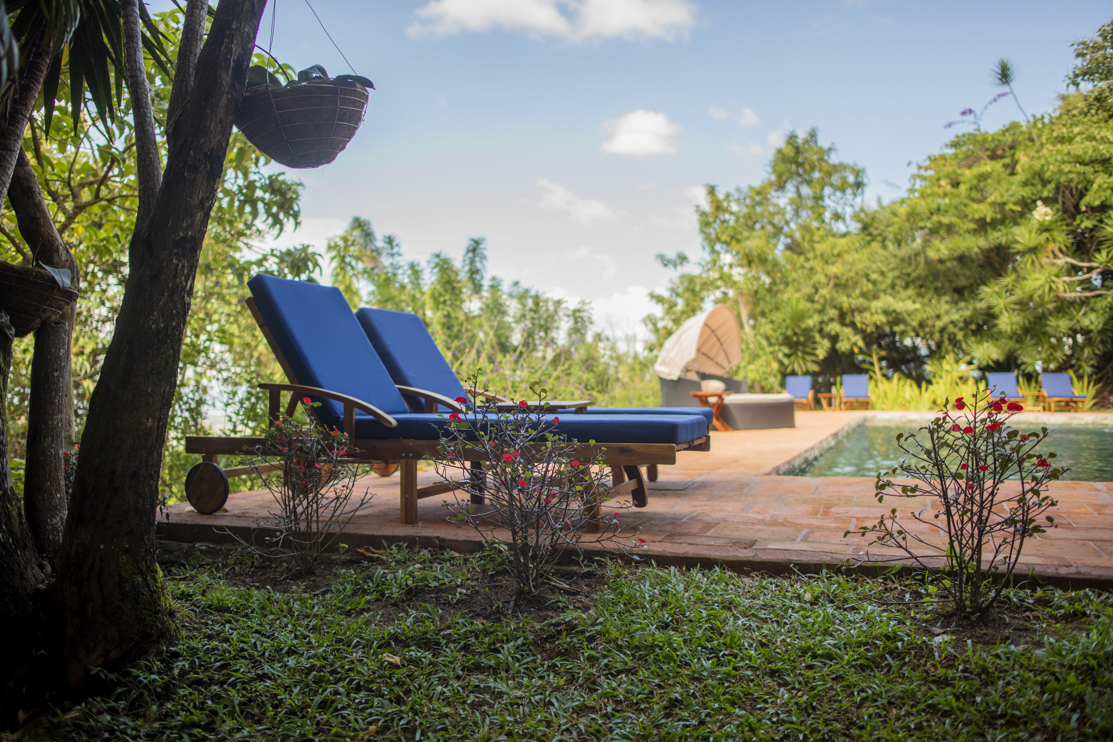 A poolside area with lounge chairs, a small bridge, and a garden with a tree and plants.