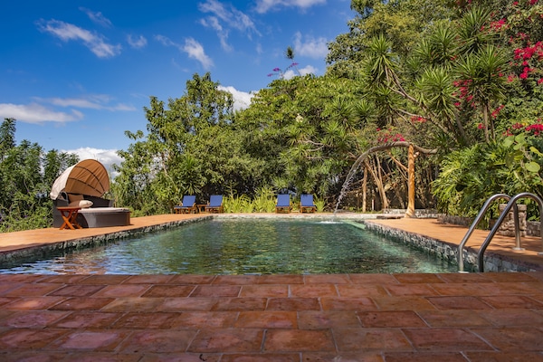 Outdoor pool, open 6:00 AM to 7:00 PM, sun loungers