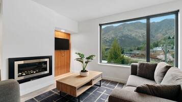 TV, fireplace, offices