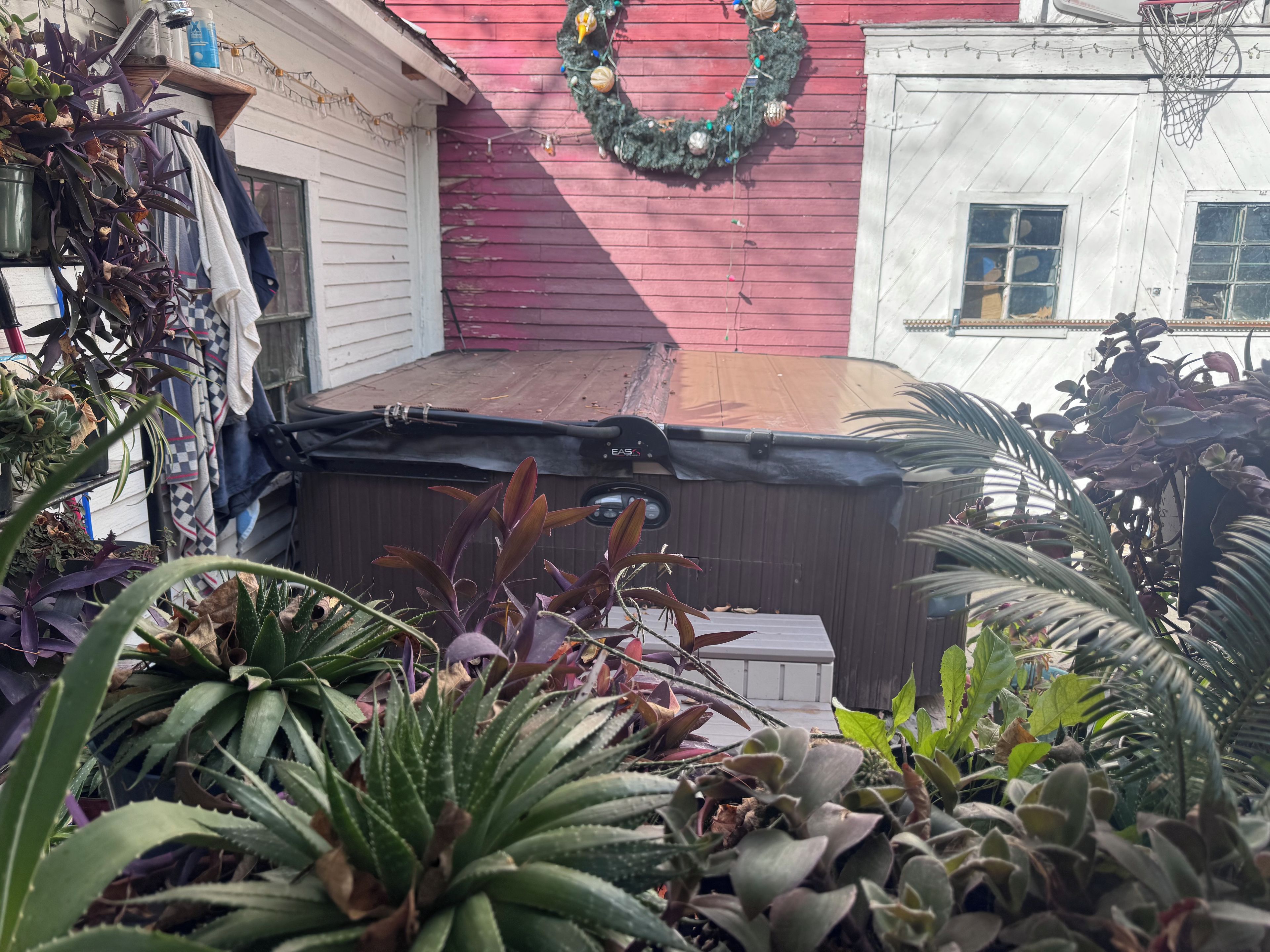 Una vasca idromassaggio coperta in un giardino con diverse piante e una ghirlanda natalizia al muro.