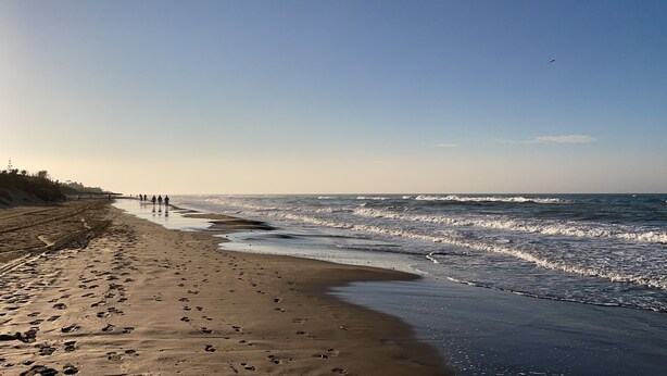 Nær stranden