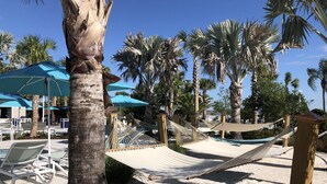 A beach area with hammocks, lounge chairs, and palm trees.