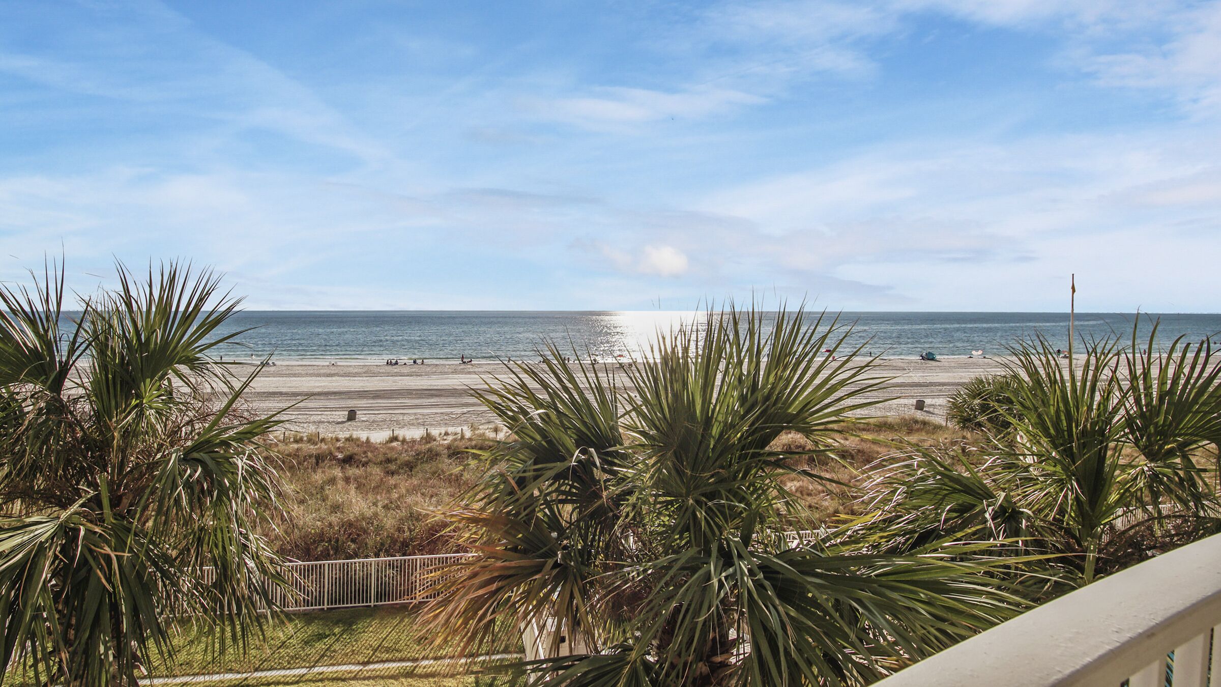 A beach view with palm trees and a fence.