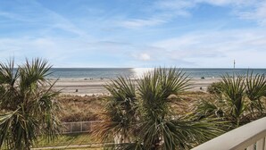 Une vue sur la plage, avec des palmiers et une clôture.