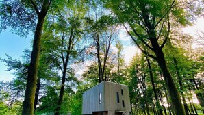 Una cabaña rústica en un bosque, con un sendero despejado que la lleva hasta ella, rodeada de árboles altos.