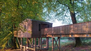 Een houten boomhut met een platform en een klein, afgesloten gedeelte, omgeven door bomen en een natuurlijke omgeving.