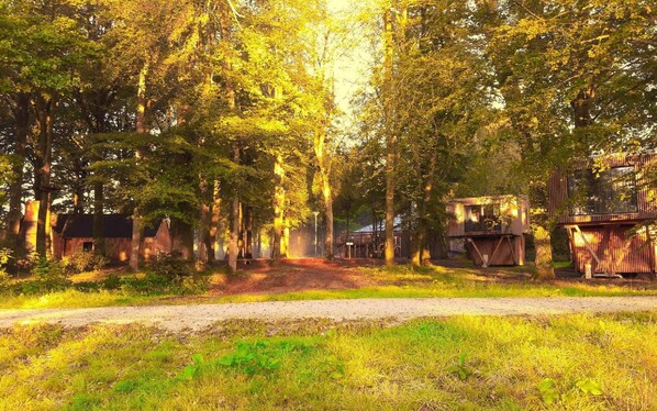 Overnattingsstedets uteområder