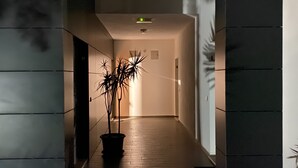 A hallway with a potted plant, a door, and a light fixture on the ceiling. - A little corner of paradise in Vale de Parra (Guia)