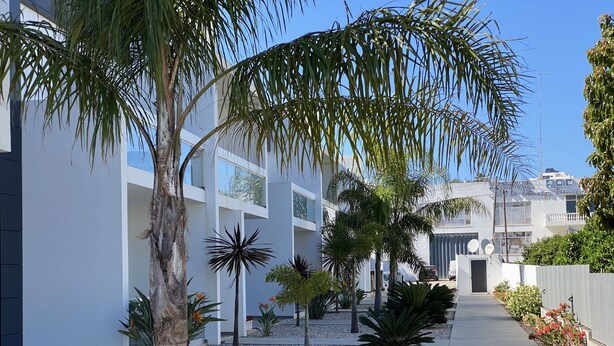 A modern building with a clean, geometric design, featuring a central pathway flanked by palm trees and various plants. - A little corner of paradise in Vale de Parra (Guia)