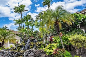 Un jardin tropical avec une cascade, des palmiers et une végétation luxuriante et variée.