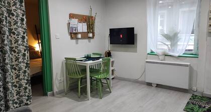 The apartment & green T2 🐈🐕ok. 5 min in 🚗 la Pérollière training center