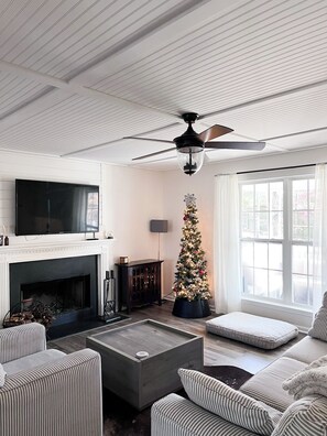 Smart TV, fireplace, books