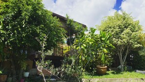 A lush garden with various plants and trees, a concrete pathway, and a building with a sloped roof. - Villa Sea View (Saint-Leu)
