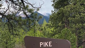 A sign for Pike National Forest with the U.S. Department of Agriculture logo.