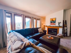 Smart TV, fireplace, books