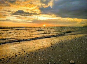 Experience the serene beauty of a remote beach at sunset, with the ocean stretching out to the horizon.