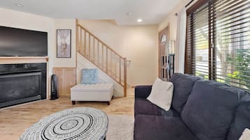 Smart TV, fireplace, books