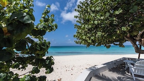 Ein Strand mit weißem Sand, blauem Himmel und einem Baum, der Schatten spendet.