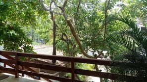 Property grounds - Bungalows Gama (Zihuatanejo)