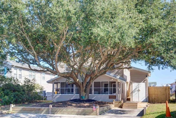 A two-story building with a large tree in front.