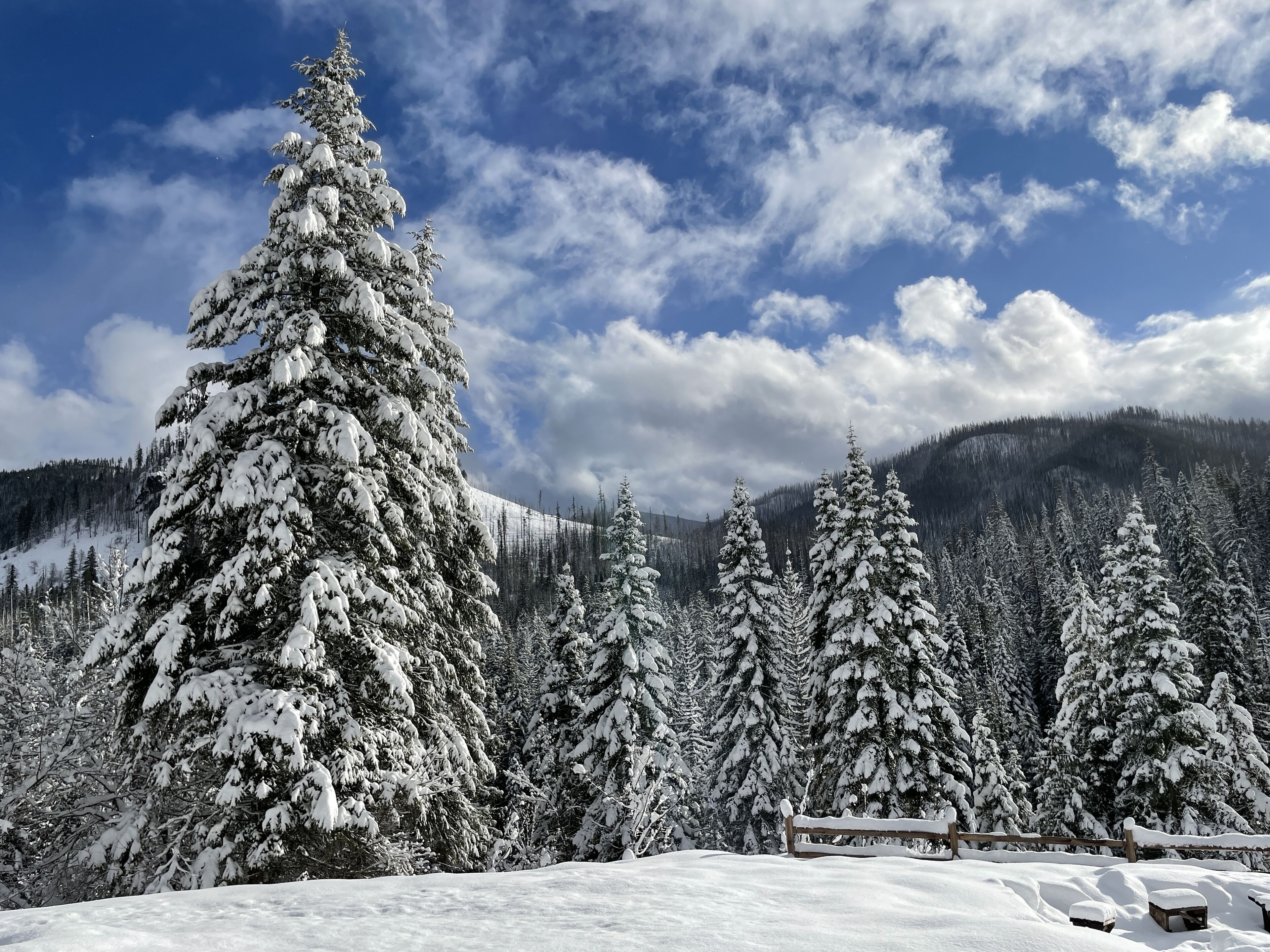 land view from property