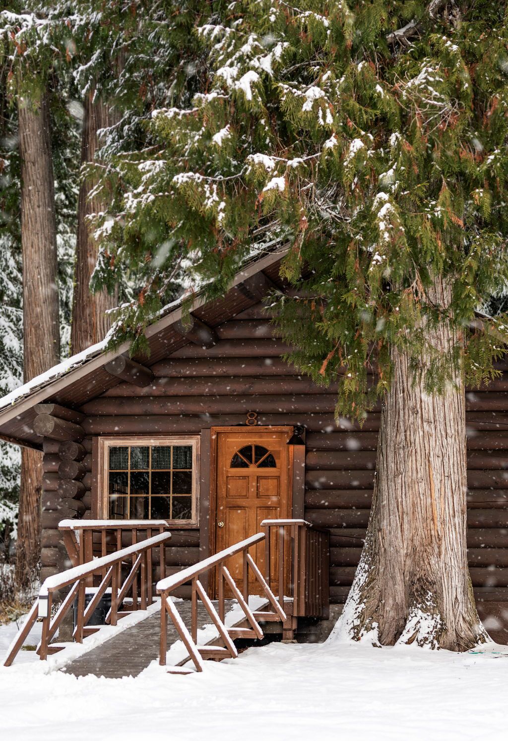 Premium Cabin, 2 Queen Beds, Accessible, Fireplace | Individually decorated, individually furnished, bed sheets